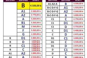 izmir sürücü kursu fiyatları