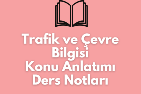 Trafik ve Çevre Bilgisi